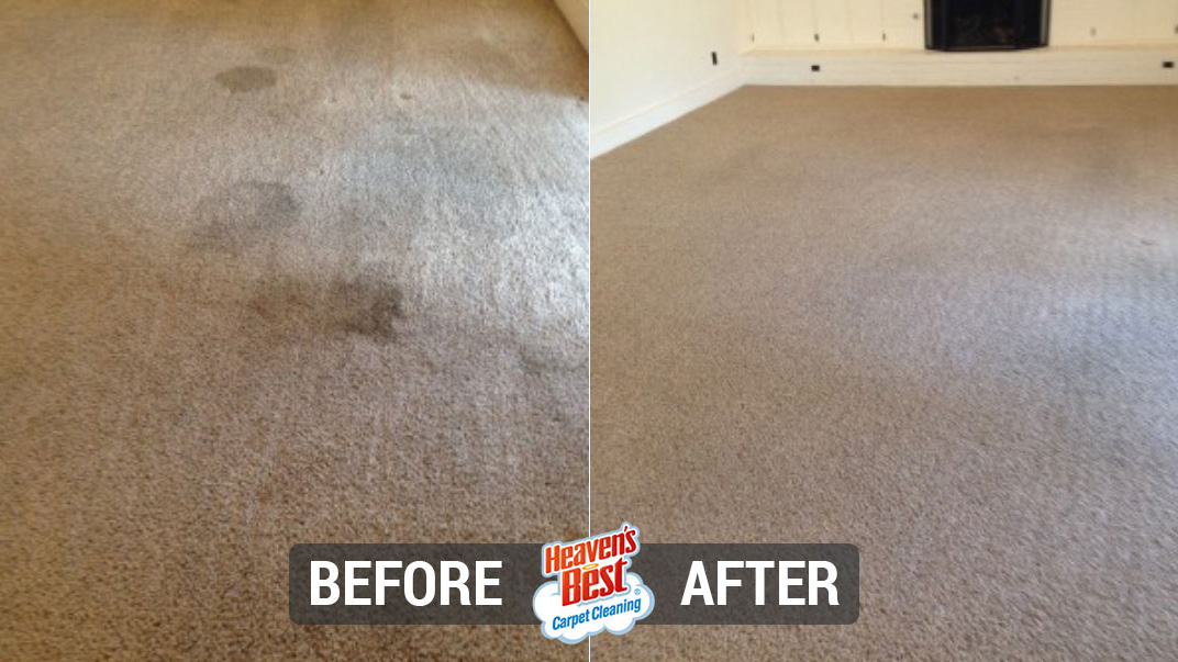 Heaven's Best Carpet & Upholstery Cleaning of Cobb