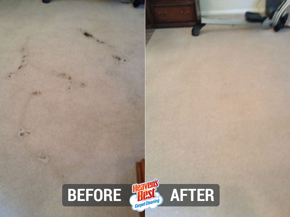 Heaven's Best Carpet & Upholstery Cleaning of Cobb